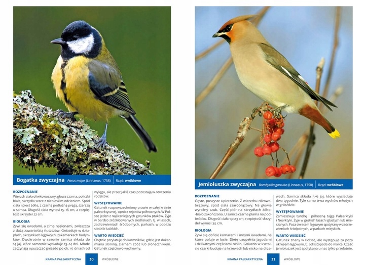 PTAKI ŚWIAT ATLAS PTAKÓW ŚWIATA 250 GATUNKÓW TWARDA OPRAWA KSIĄŻKA PREZENT