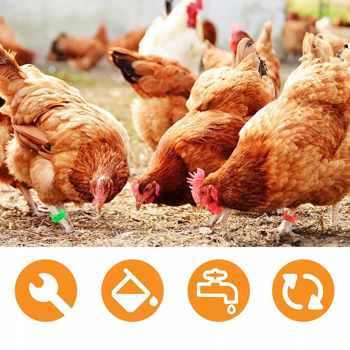 ZNACZNIKI OBRĄCZKI KLIPSY DLA KUR KACZEK GĘSI PTAKÓW 16MM 0.5-2.5kg