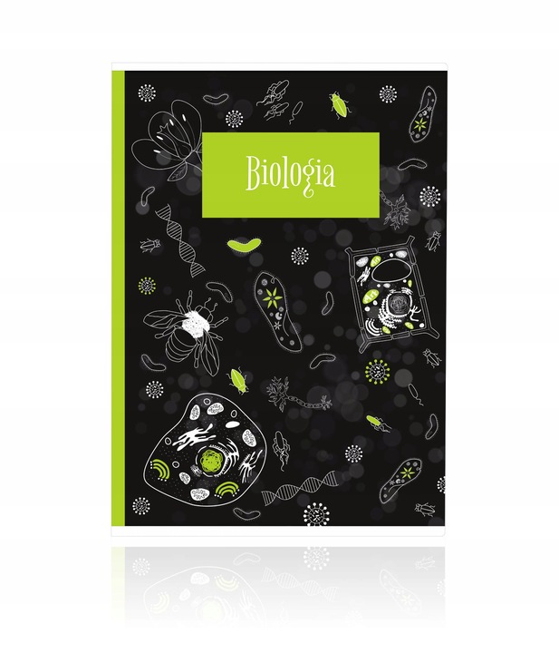 KOMPLET 10 ZESZYTÓW ZE ŚCIĄGĄ A5/60K ŚCIĄGA KOLOROWA 60 KARTEK