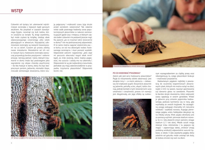 Atlas Pająków Książka O Pająkach Hodowlanych Encyklopiedia P. Malgrab SBM