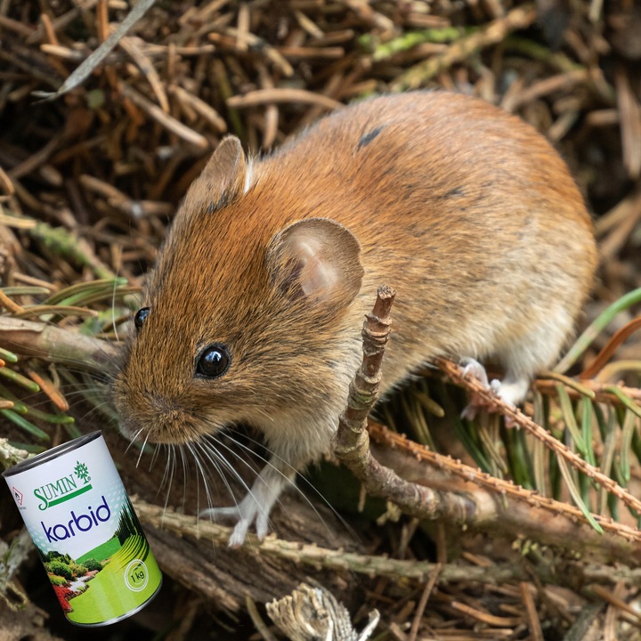 KARBID NA KRETY I NORNICE SUMIN GRANULOWANY ŚRODEK ODSTRASZA ZAPACHEM 1KG