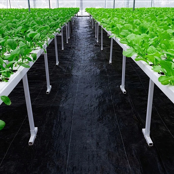 GRUBA AGROWŁÓKNINA 70g NA CHWASTY 1,6x100 AGROTKANINA