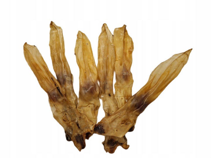 NATURALNY GRYZAK DLA PSA PRZYSMAKI SMACZKI UCHO KRÓLICZE 500 G SUSZONE