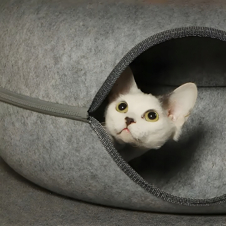 Legowisko tunel donut domek posłanie zabawka antystresowe dla kota okrągły