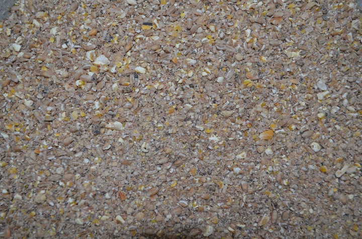 Pasza dla kur niosek sypka NIOSKA 25 kg