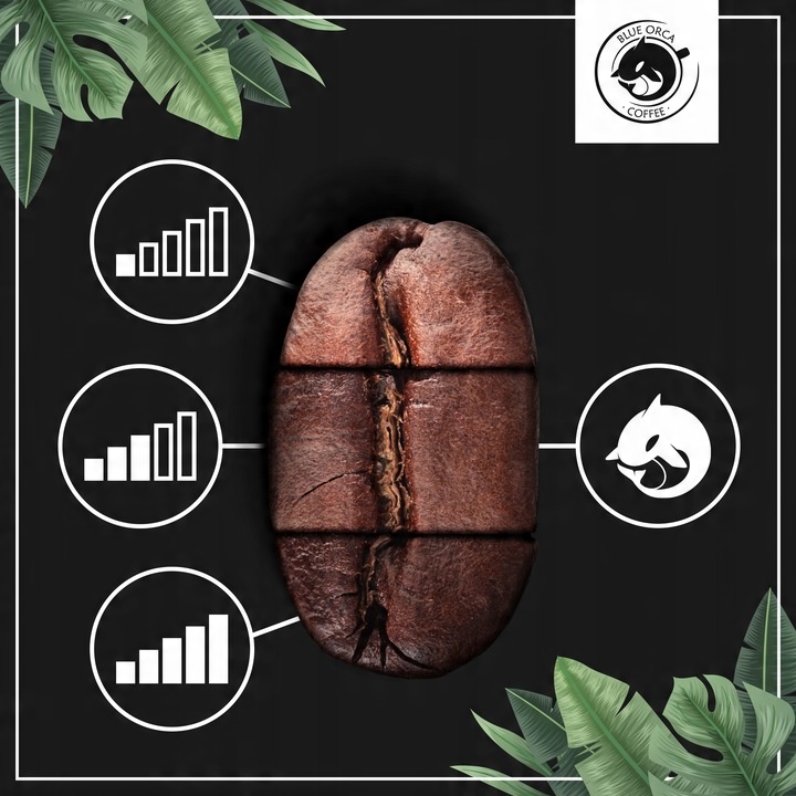 Kawa ziarnista 1kg x3 do ekspresu z Palarni Świeżo Palona Blue Orca Coffee