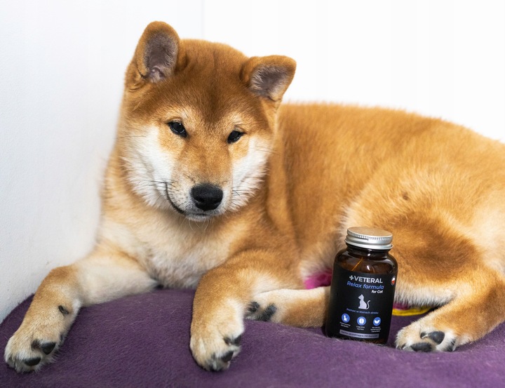 SUPLEMENT USPOKAJAJĄCY na STRES dla PSA Relax Formula Dog