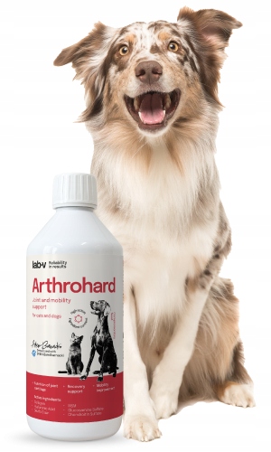 Lab-v Arthrohard Kompleksowe wsparcie stawów dla psów i kotów 500 ml