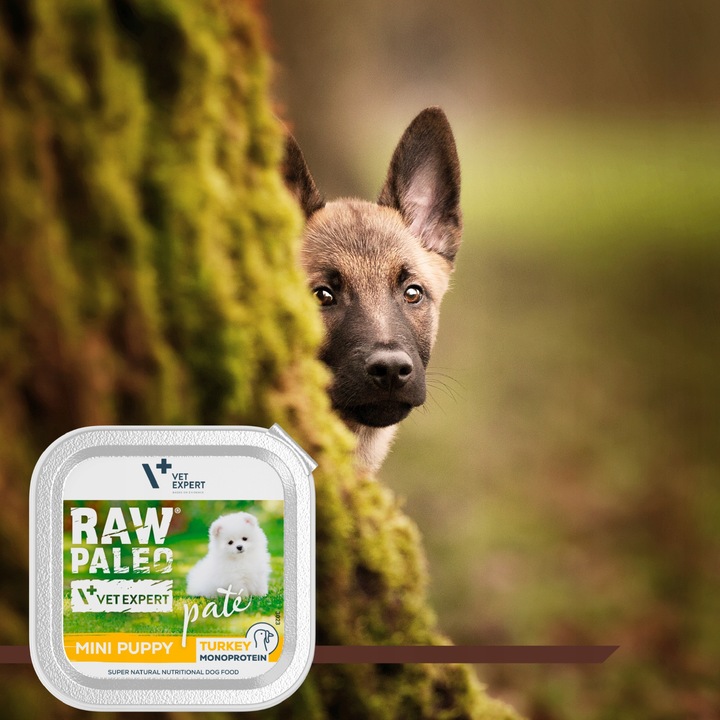 Mokra karma dla szczeniąt małych ras indyk Raw Paleo Pate 12 x 150 g