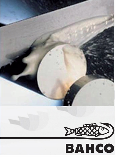 Brzeszczot do piły PARKSIDE PMB 1140x13x0.6 8/12 piła taśmowa BAHCO