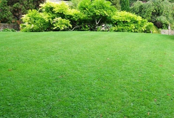 RĘCZNY NIWELATOR TERENU XXL 125cm LEVELAWN, LEVEL RAKE