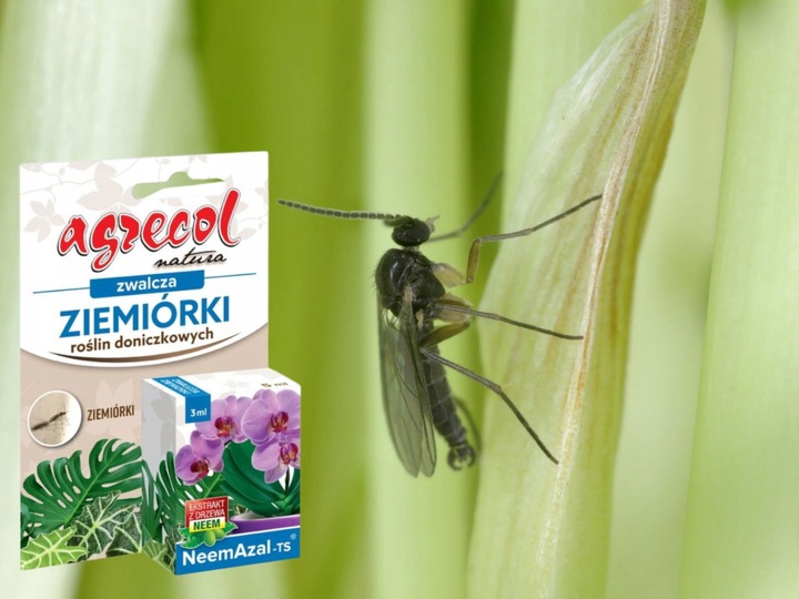 NEEMAZAL TS Owadobójczy 3ml + Żółte lepy 12szt. na Ziemiórki Mszyce