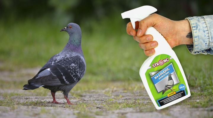 ZESTAW DO ODSTRASZANIA PTAKÓW GOŁĘBIE WRÓBLE MEWY