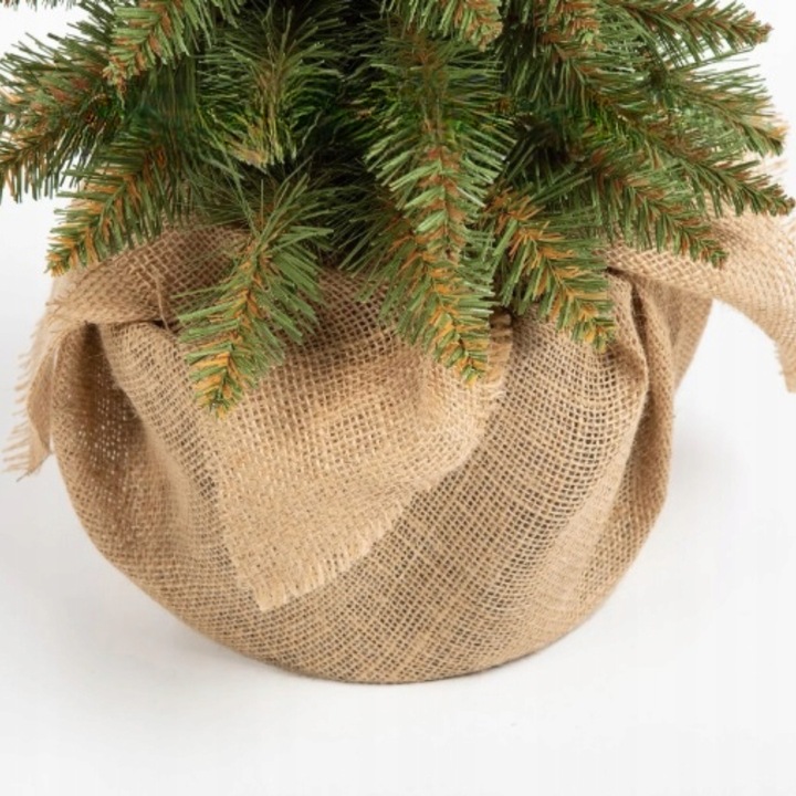 Choinki Marzeń CHOINKA SLIM ŚWIERK TATRZAŃSKI *PREMIUM* 100cm + GRATIS