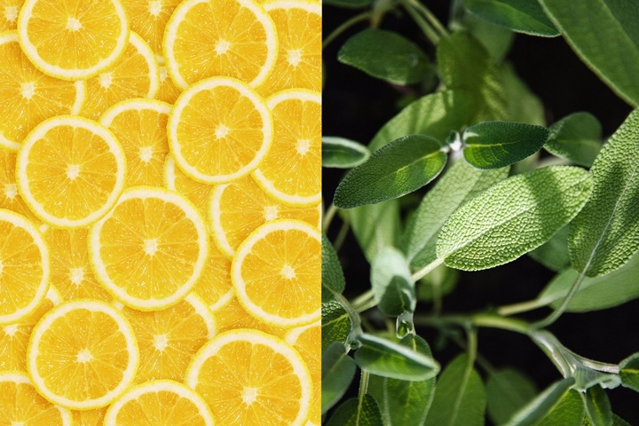 Herbata Na Zimno ICE TEA mix smaków Cold 8 x LOYD