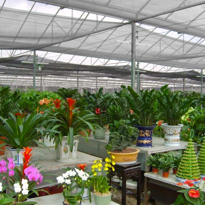 SIATKA CENIUJĄCA NA PŁOT 1,5X25M MASKUJĄCA GRAFIT