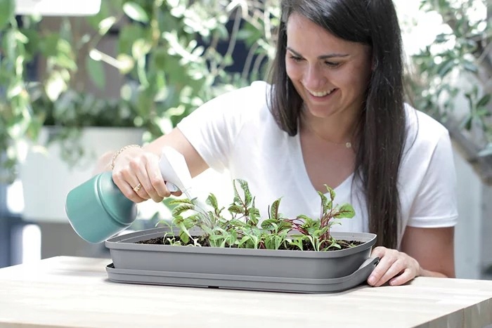 Szklarnia rozsadnik RESPANA table greenhouse 39,1 cm x 25,7 cm x 18,5 cm