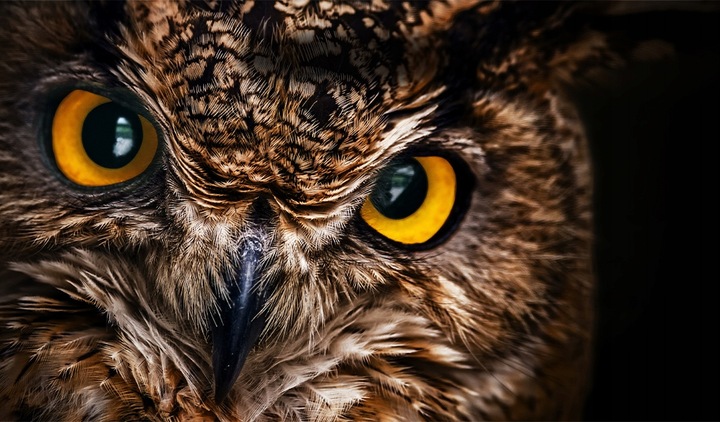 MONITOR Acer 23,8" KA240YBI 1ms 1920X1080 FREESYNC HDMI/VGA