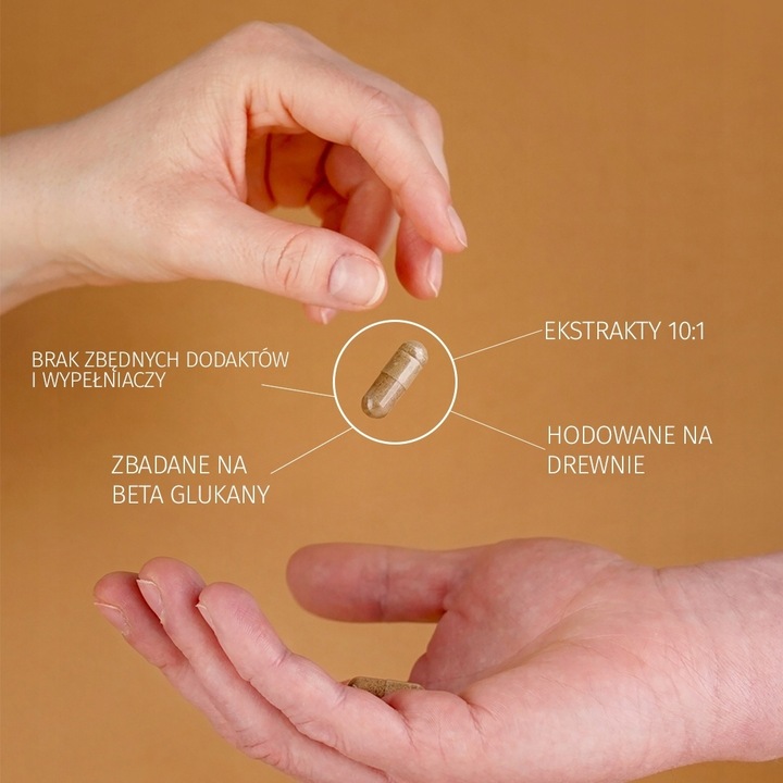 Lion's Mane (Soplówka jeżowata) 10:1 60x 500mg