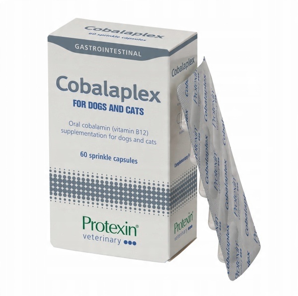 Protexin Cobalaplex 60 kapsułek (witamina B12, Kwas foliowy) PIES/KOT