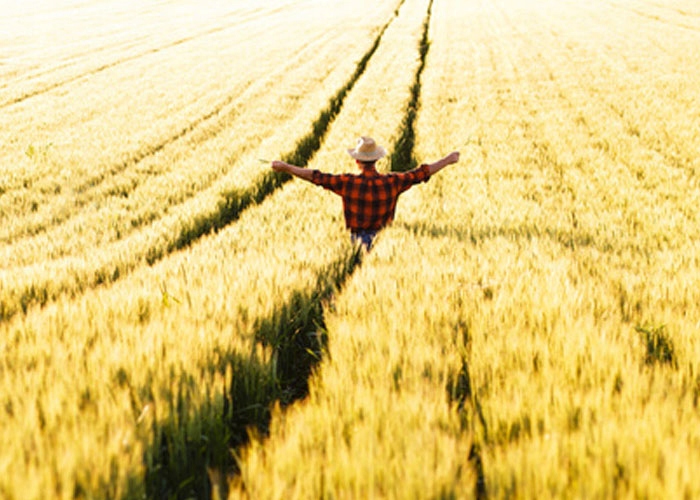 AGROSAR 360SL 20L Herbicyd