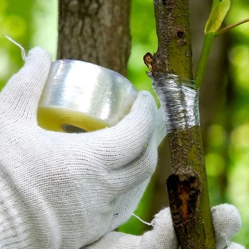 NOŻYCE SEKATOR do SZCZEPIENIA DRZEW KRZEWÓW WINOGRON OKULIZACJA + TAŚMA