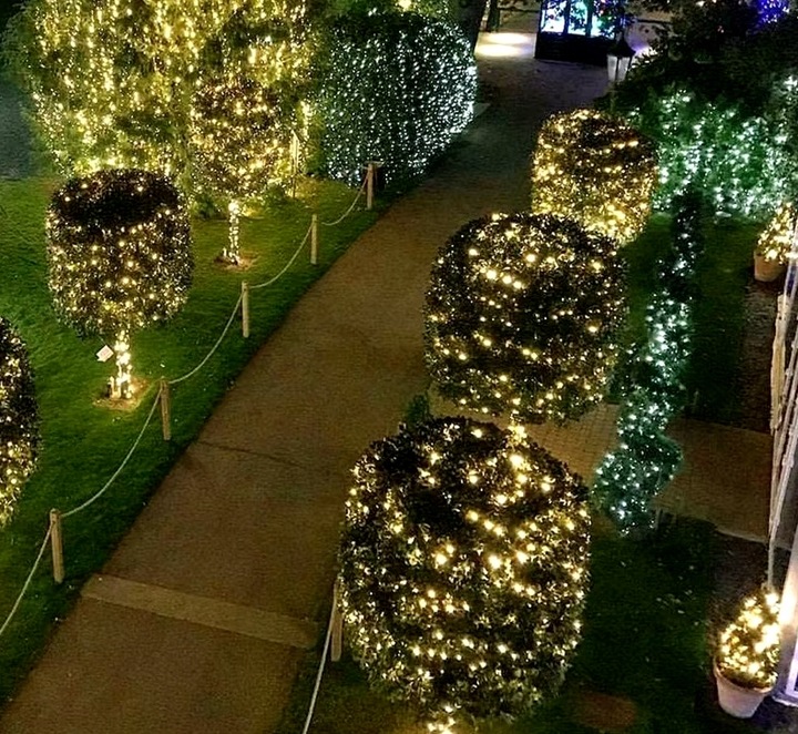 Lampki druciki mikro 500LED 50 METRÓW NA ZIELONYM KABLU