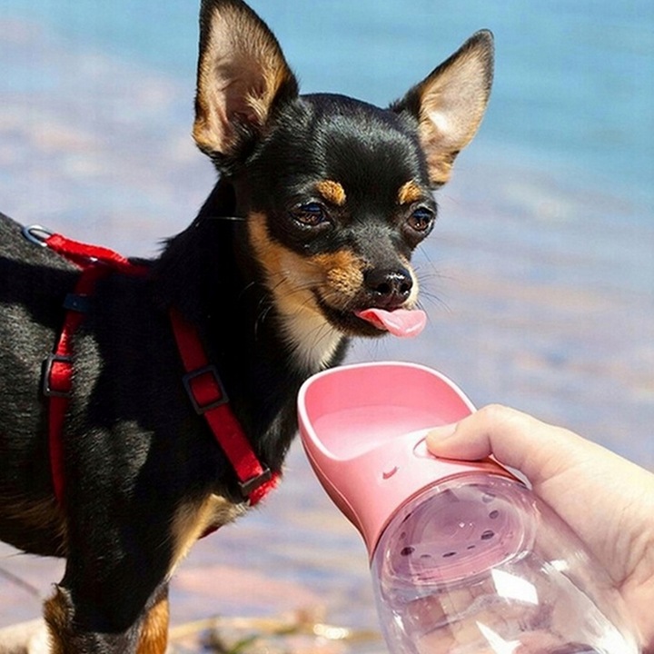 BUTELKA MISKA TURYSTYCZNA BIDON NA WODĘ POJEMNIK NA KARMĘ PRZENOŚNA POIDŁO