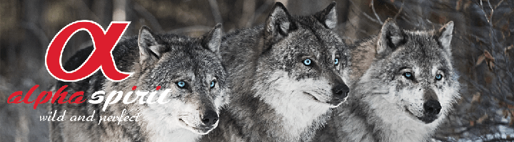 Alpha Spirit Karma MULTIPROTEIN 10x200g Półmiękka karma dla psa