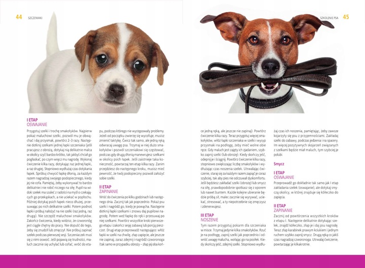 Szkolenie psa Jak tresować psa Poradnik książka + Kliker CLICKER Trening