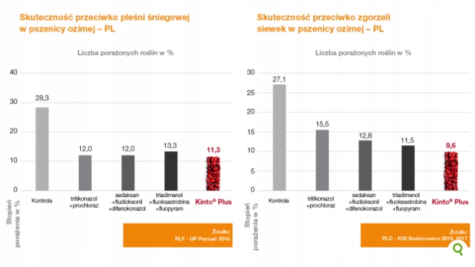 KINTO PLUS 1L zaprawa ziaren siewnych zbóż BASF