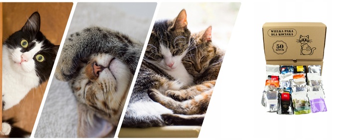 Karma mokra dla kota Saszetka Mix Smaków Wielka Paka Dla Kociaka 50 szt.