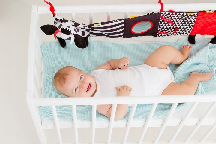 SENSORYCZNA KSIĄŻECZKA HARMONIJKA KRÓWKA 81044 BALIBAZOO