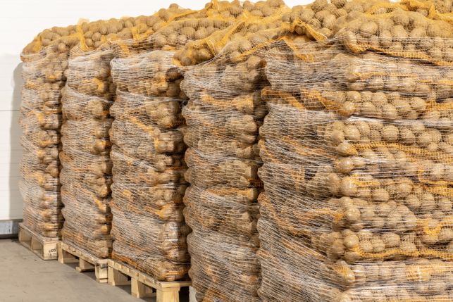 Siatka Do Paletowania Owijania 0,5x500m 3,2g Palet Pakowania Drewna Warzyw