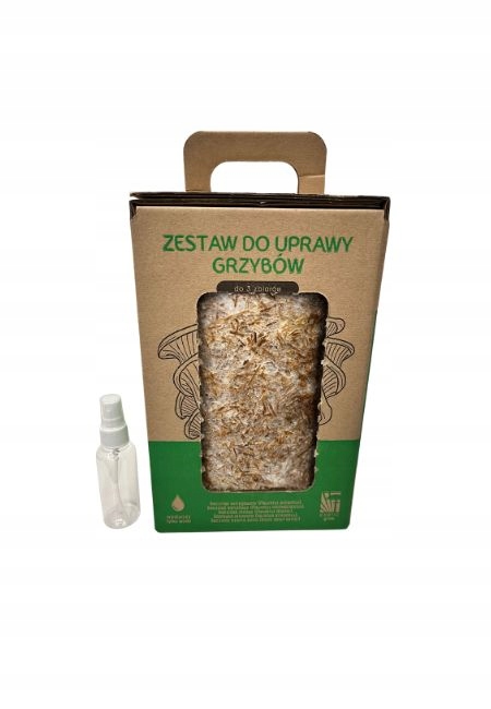 Soplówka Jeżowata MUSHROOMS GROW KIT grzybnia