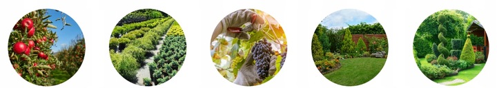 SEKATOR RĘCZNY LOWE 10.107 do GRUBYCH GAŁĘZI OGRODOWY KOWADEŁKOWY 30mm