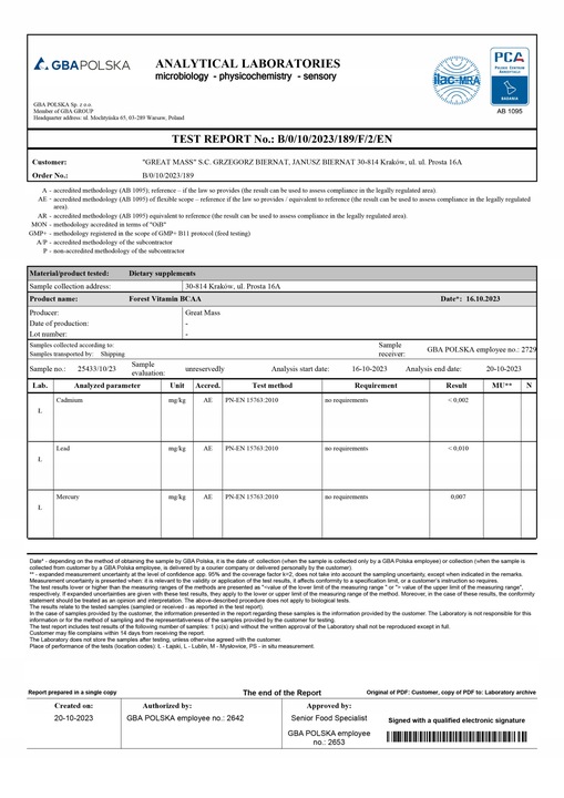 BCAA AMINO INSTANT 2:1:1 500 g MOCNE CZYSTE AMINOKWASY