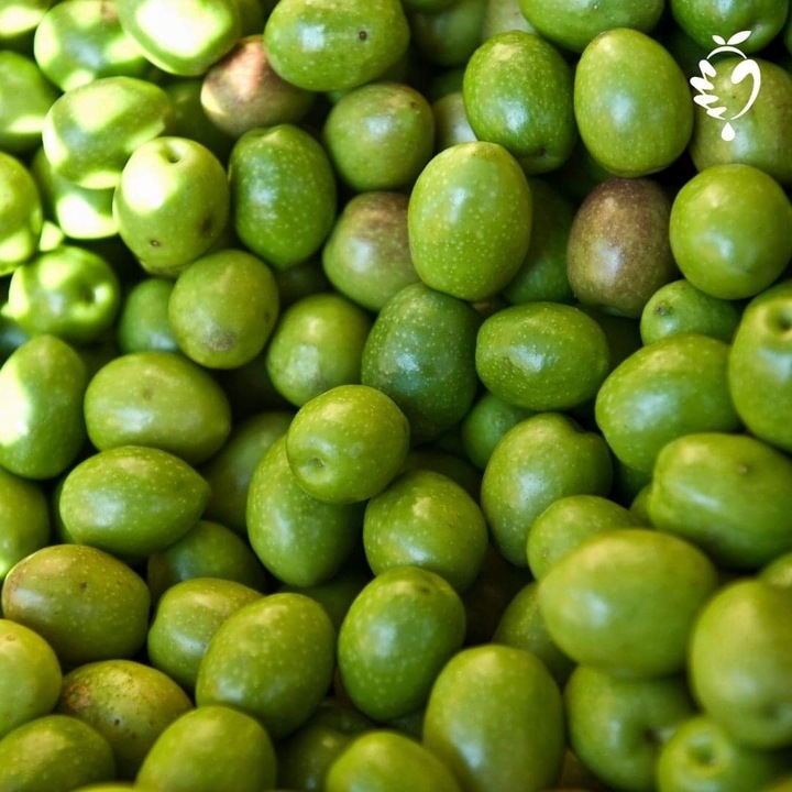 Włoska oliwa extra vergine z Sycylii 500ml|Olio Mio ŚWIEŻY ZBIÓR 10-11.2024