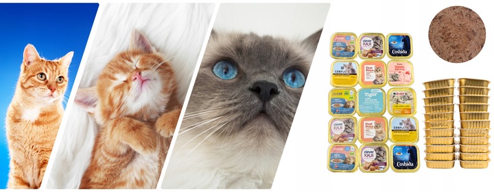 Karma Mokra dla kota Mix Smaków 34x 100g Zestaw Różnych Producentów 3,4 kg