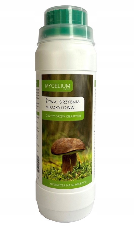 Żywa Grzybnia Iglaste - Borowik Maślak Rydz Kurka