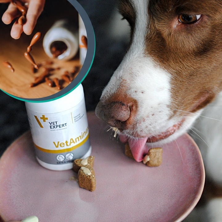 Preparat dla psów i kotów witaminy minerał Vet Expert Vetaminex 60 kapsułek