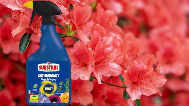 SAPROL GRZYBOBÓJCZY środek KWIATY: ZWALCZA CHRONI