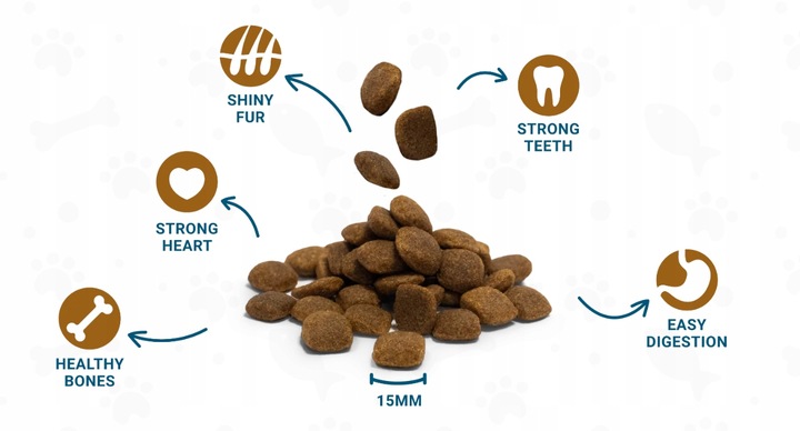 DIVINUS Performance karma sucha dla psa owczarek labrador witaminy 20kg