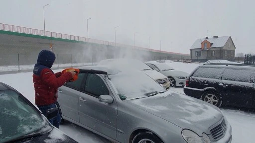 Dmuchawa do liści spalinowa odkurzacz liści DEMON