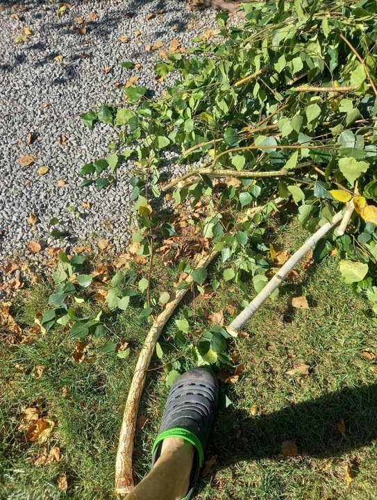 SEKATOR OGRODOWY TELESKOPOWY WYSIĘGNIK PIŁA 2W1 DO GAŁĘZI KRZEWÓW KONARÓW