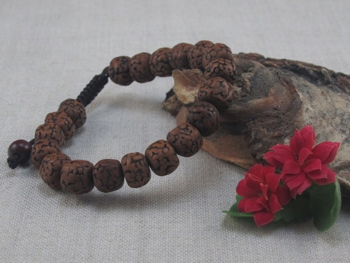 BRANSOLETA mala buddyjska RUDRAKSHA nasiona [B745]