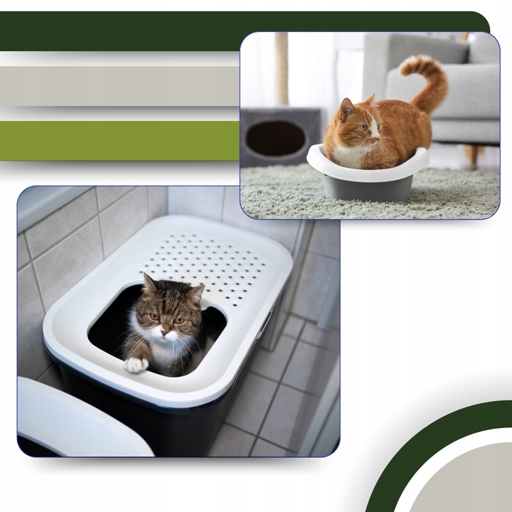 Żwirek dla Kota ZBRYLAJĄCY EKOLOGICZNY 24l Zbożowy BIODEGRADOWALNY do WC