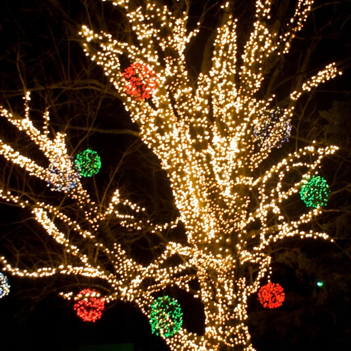 Ciepłe białe lampki choinkowe światełka zewnętrzne 1000LED 50m IP44 FLESH