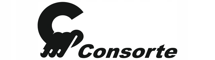 SZELKI BEZPIECZEŃSTWA,PASY BHP DWA ZACZEPY CONSORTE GRASSHOPPER