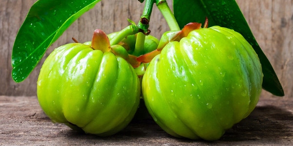 3 x GRINDAY SHAPE UP | WSPARCIE ODCHUDZANIA | HAMOWANIE APETYTU | ROŚLINNY